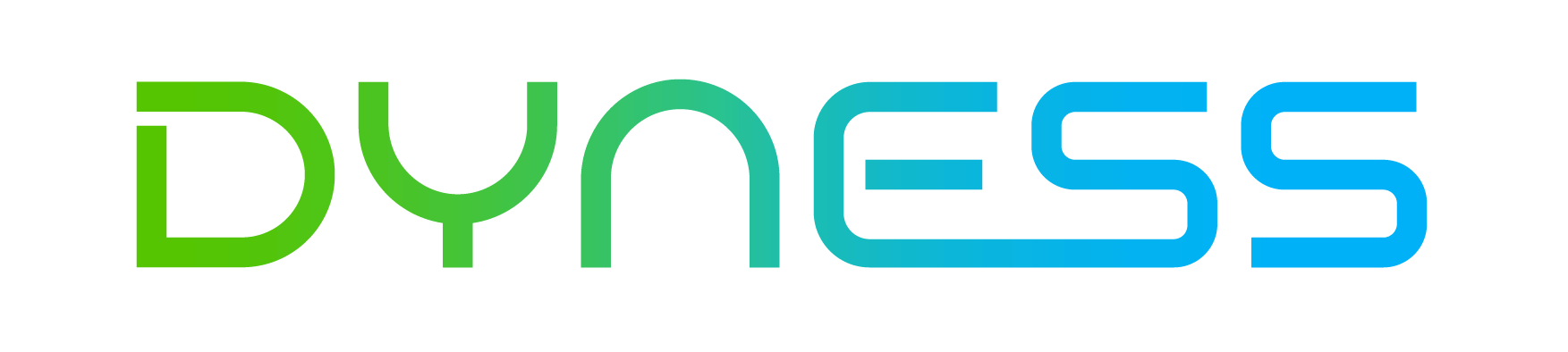 Dyness Digital Energy Technology