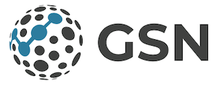 GLOBAL SALES NETWORK